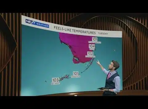 Partly cloudy and warm across South Florida, a few scattered showers possible