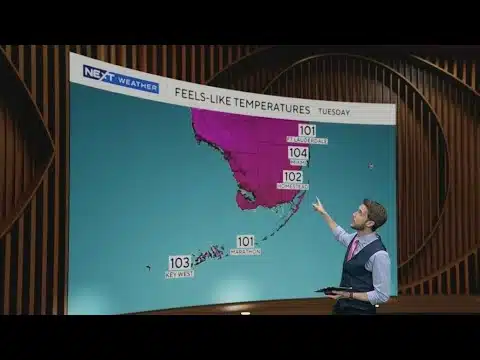 Partly cloudy and warm across South Florida, a few scattered showers possible