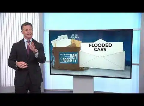 In Depth with Dan: Answering viewer questions about flesh-eating bacteria, digital licenses