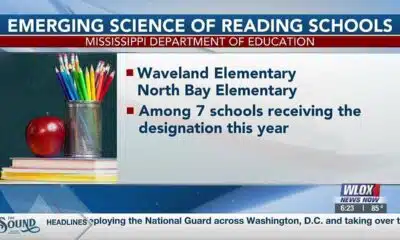 South Mississippi schools recognized for reading success