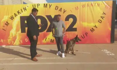 International Defense K9 trainings on dogs