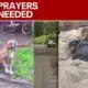 Woman critically injured in vicious dog attack | FOX 5 News