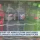 Push to eliminate sugar from SNAP plan