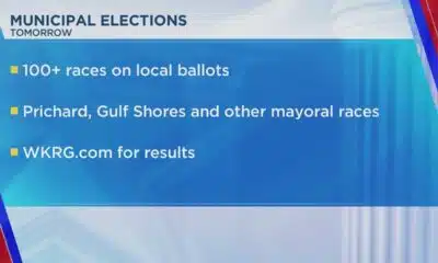 Mobile election changes: New districts, polling sites