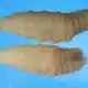 Flesh-eating screwworm parasite confirmed in US