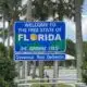 Black bear hunting legalized | Florida