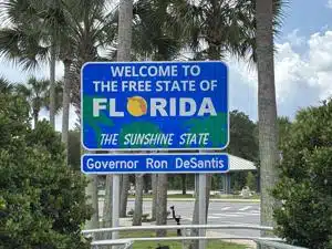 Black bear hunting legalized | Florida