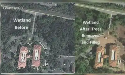 Environmental advocates file petition for rehearing in Glynn County wetlands case