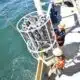 Gulf of America ‘dead zone’ shrank sharply in 2025, scientists say | Alabama