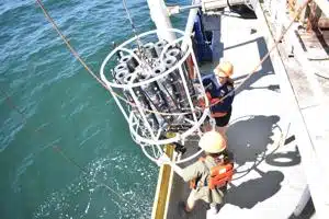 Gulf of America ‘dead zone’ shrank sharply in 2025, scientists say | Alabama