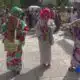 Japanese Festival celebrates 48 years at Mo. Botanical Garden