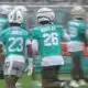 Miami Dolphins continue to prepare for their season opener