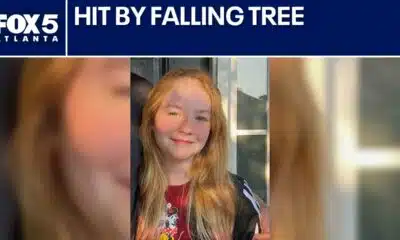 Girl hit by falling tree at arts festival | FOX 5 News