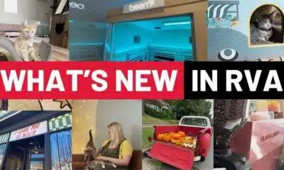Cat cafes, chromotherapy and pumpkin delivery: Here’s what’s new in RVA this September