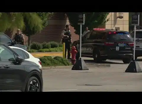 Panic and chaos at a St. Louis area mall false reports of shots fired