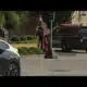 Panic and chaos at a St. Louis area mall false reports of shots fired